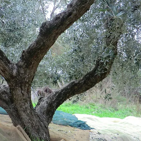 דירה Mare רוזיניאנו מריטימו