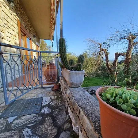 Mare Rosignano Marittimo