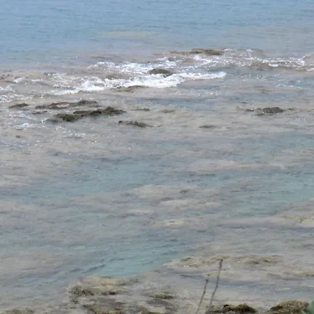 Mare