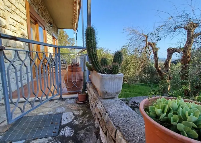 Mare Rosignano Marittimo