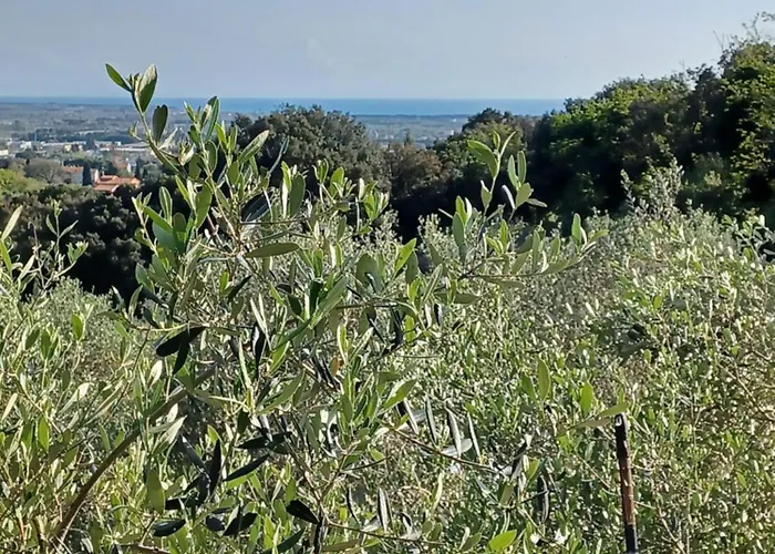 Apartamento Mare