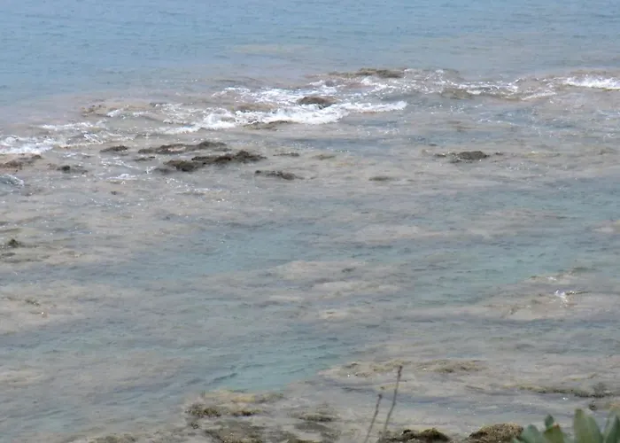 Mare